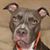 Janice Mitchell's profile image