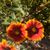 Regina Smith Baker's profile image