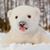 Mary Reynolds's profile image