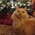 Maria Dunaway's profile image
