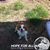 Vandergriff Bnb's profile image