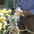 Myrna M. Venable-Goosey's profile image