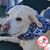 Nancy Nieradka's profile image