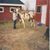 Shanda Clairmore Fitzgerald's profile image