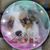 Kathi Ojeda's profile image