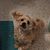 Susie Davis's profile image