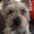 Sherri Morgan's profile image
