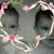 Stephanie Peltier's profile image