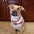 Annmarie Dankers's profile image