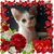 ชุติมณฑน์ ภัทรเกษมสุข's profile image