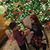 Elizabeth M. Munoz's profile image