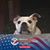 Julie Pisano's profile image