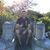 Stevo Stankov's profile image