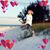 Georgia Osuch's profile image
