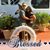Antoinette Lugo-Rankin's profile image