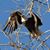Connie Jones Underwood's profile image