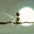 Kim Quinn Greenlee's profile image