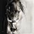 Lynn Bergfeld's profile image