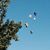 Carole Latimer Smith's profile image