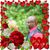 Frances Darline Lee Evans's profile image