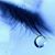 Guthrie Shelly's profile image