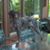Karen Donaldson Stanley's profile image