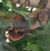 Eva Ramirez's profile image