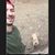 Kess Myer's profile image