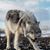 Sylvia Lynn Smith's profile image