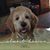 Jo Ann Nichols Watt's profile image