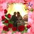 Rehana Azam's profile image