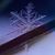Patricia Cowley Brown's profile image