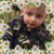 Tammy Calvert Stone's profile image