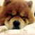 Marìa La Paz's profile image
