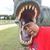 Willie Beverly Sr.'s profile image