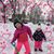 Ashley Campbell's profile image