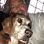 Dennis Stamey-Lucas's profile image