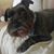 Judi McCreary Dollarhite's profile image
