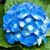 Bethany Ashman's profile image