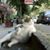 Margot Botello Shinn's profile image