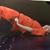 Kate McGough's profile image