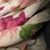 Amy Turner's profile image