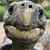 Holly Dudek's profile image