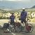 Bill Weedon's profile image