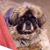 Marty Torres's profile image