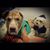 Beverly Morgan Barker's profile image