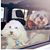Valorie Rogers's profile image