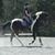 Jody L. Kiefer's profile image