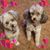 Rosemary Inclan's profile image