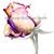 Marjorie Williams-Smith's profile image